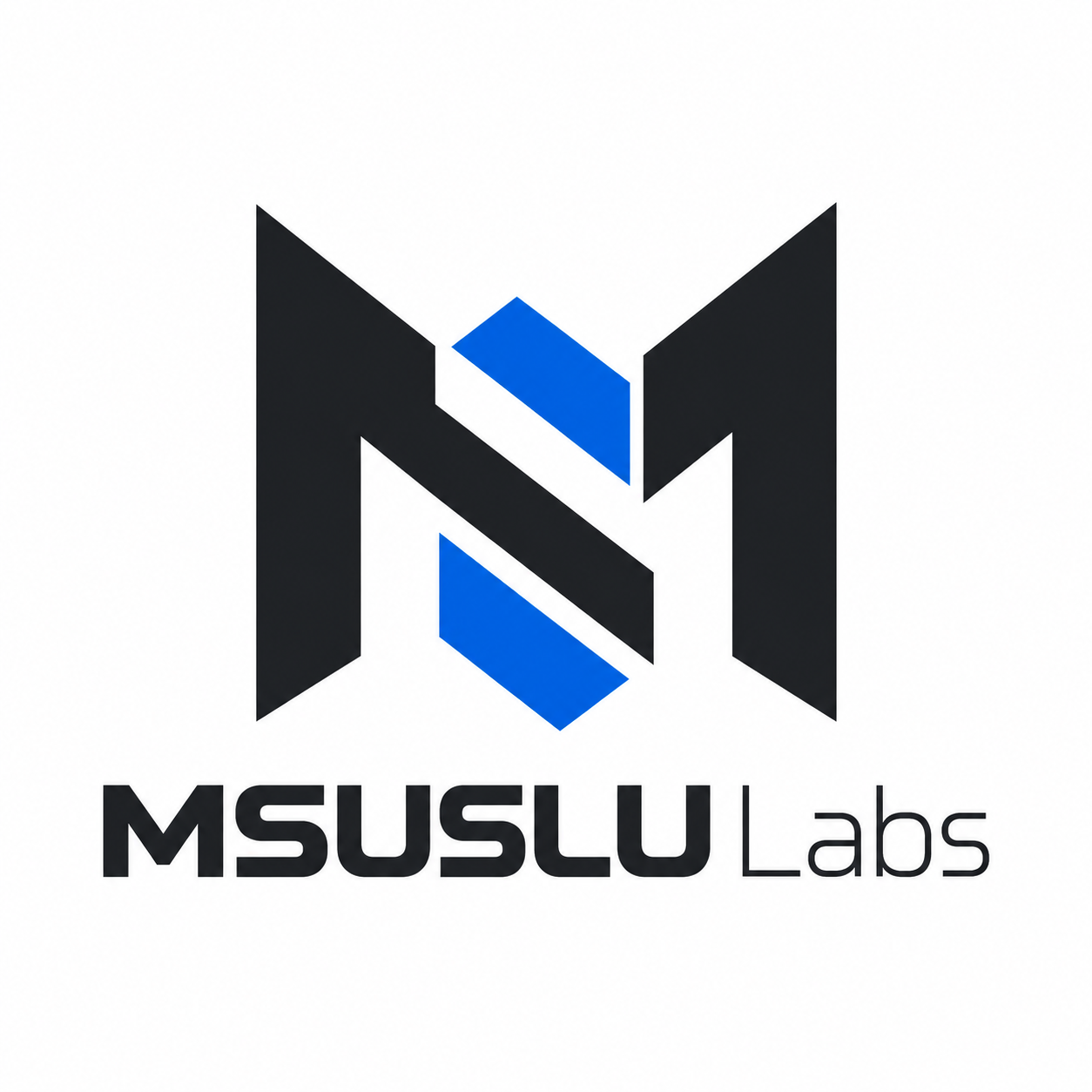 MSUSLU Labs